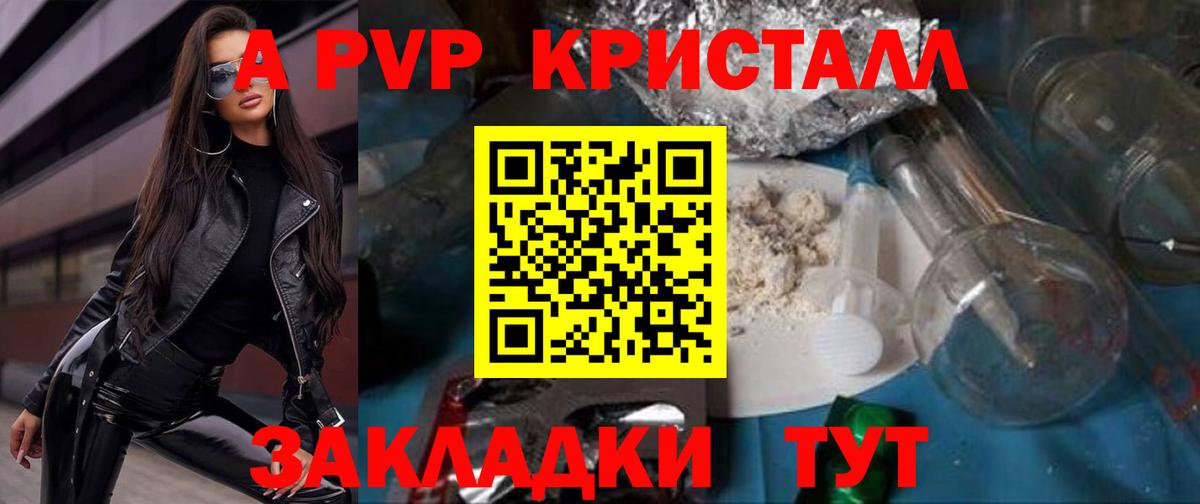 A-PVP СК Петропавловск-Камчатский